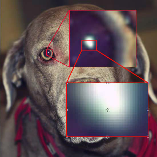 растерна графика