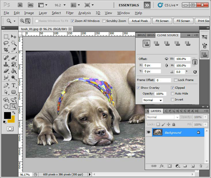 Photoshop Screenshot