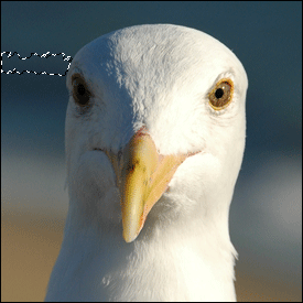 изрязване на фон във фотошоп